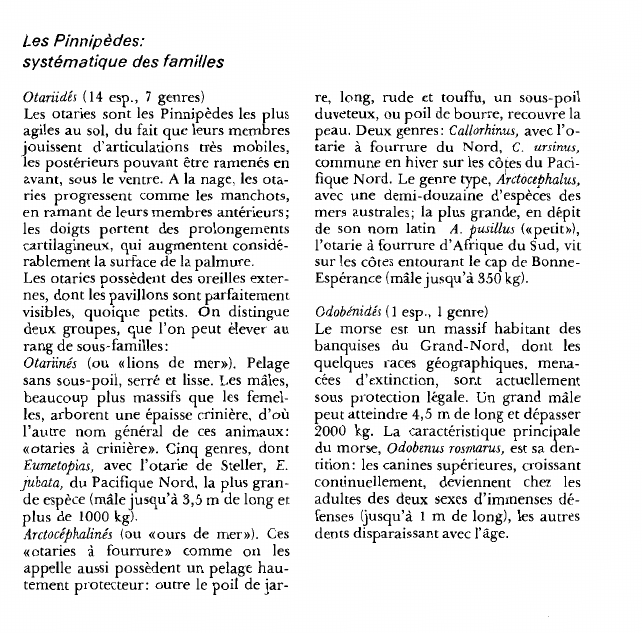 Prévisualisation du document Les Pinnipèdes:systématique des familles.