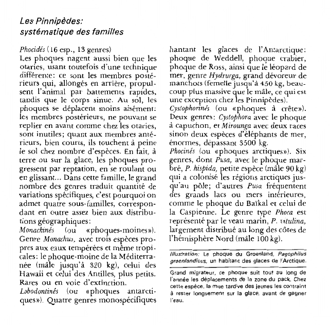 Prévisualisation du document Les Pinnipèdes:systématique des familles.