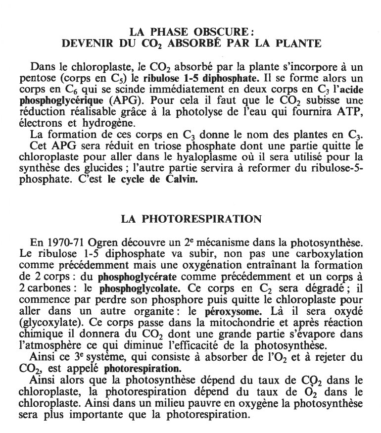 Prévisualisation du document Les plantes photosynthétiques