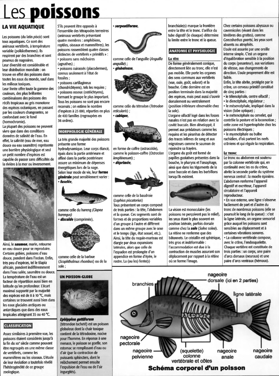 Prévisualisation du document Les poissons