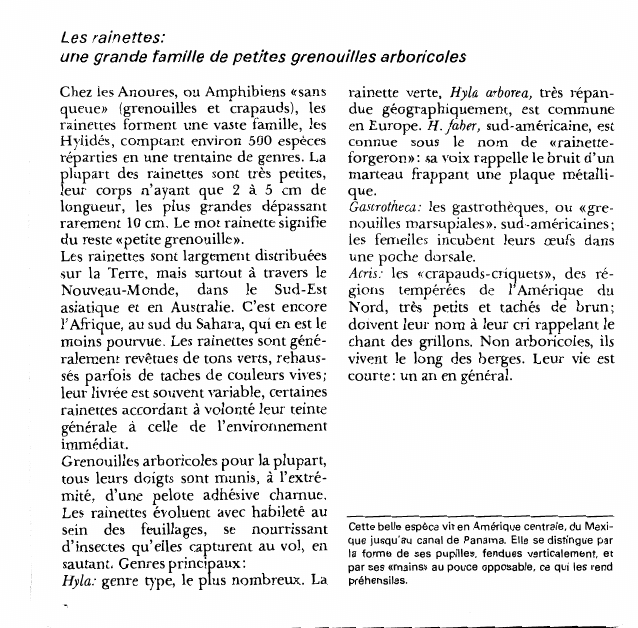Prévisualisation du document Les rainettes:une grande famille de petites grenouilles arboricoles.