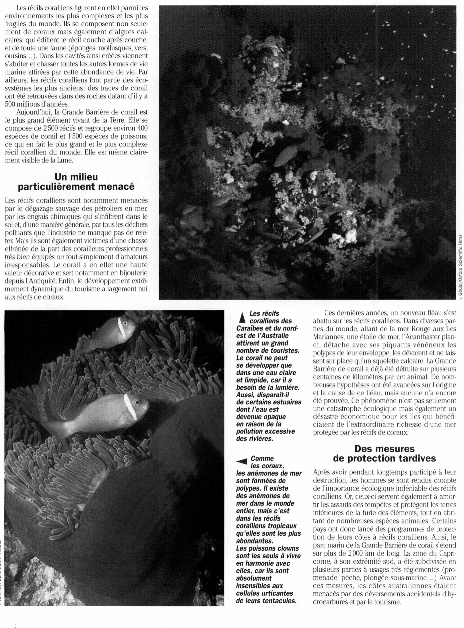 Prévisualisation du document Les Récifs de coraux