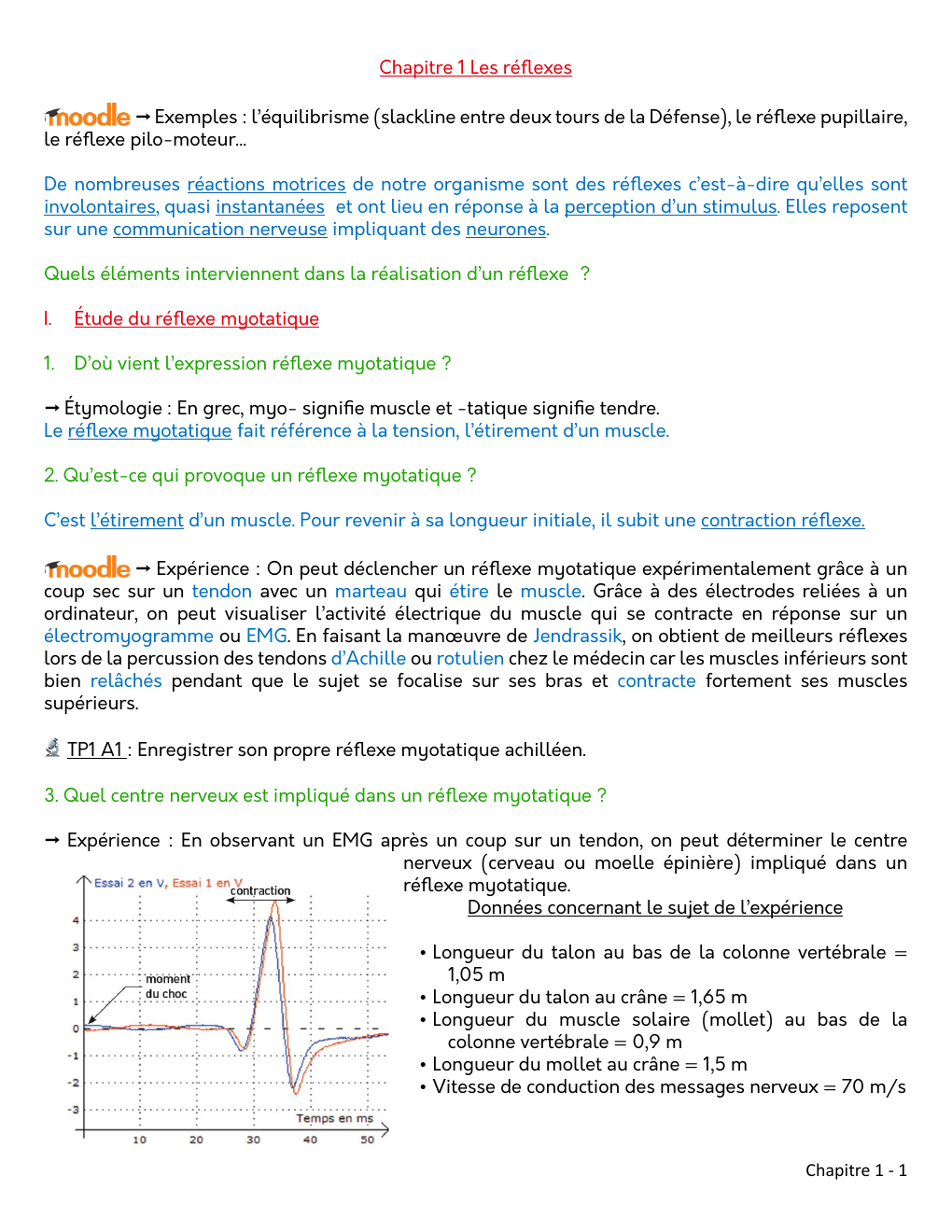 Prévisualisation du document les reflexes myotatique
