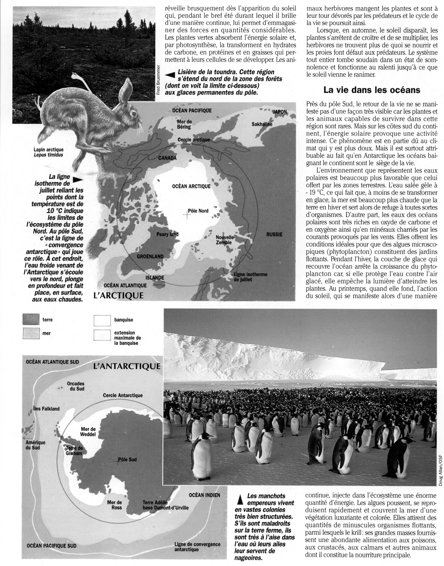 Prévisualisation du document Les Régions polaires