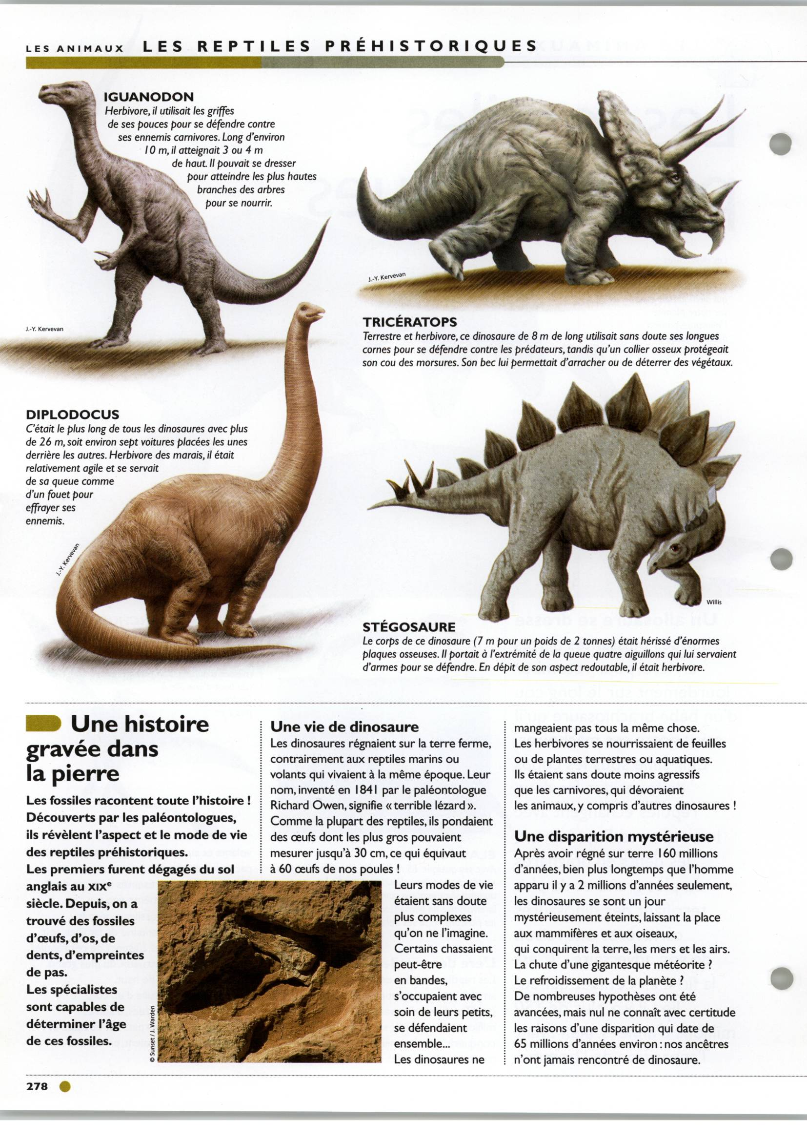 Prévisualisation du document Les reptiles préhistoriques