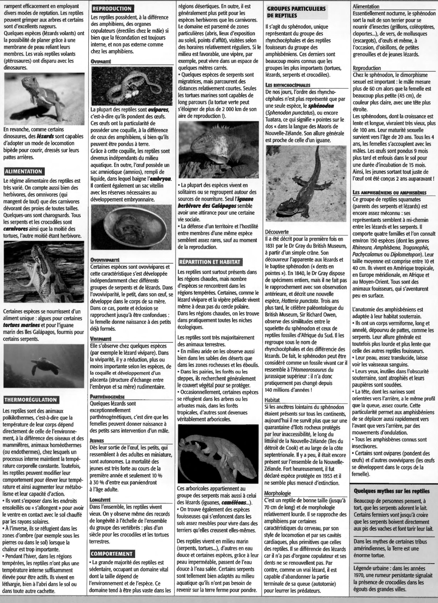 Prévisualisation du document Les reptiles (zoologie)