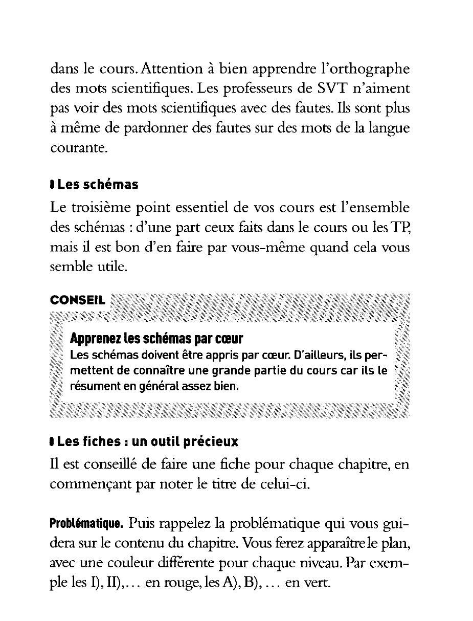 Prévisualisation du document LES RÉVISIONS DE DERNIÈRE MINUTE