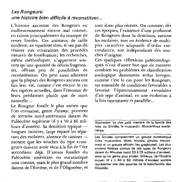 Prévisualisation du document Les Rongeurs:une histoire bien difficile à reconstituer.