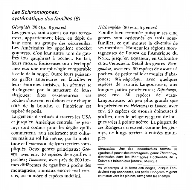 Prévisualisation du document Les Sciuromorphes:systématique des familles.