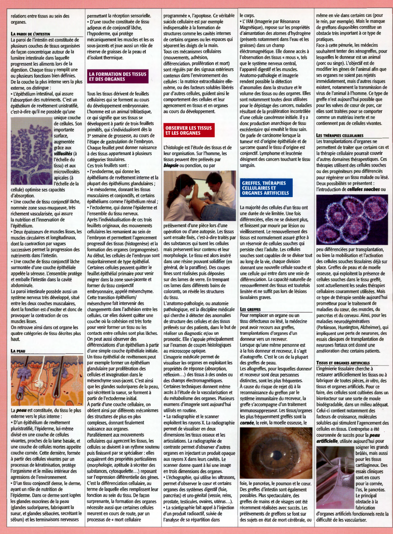 Prévisualisation du document Les tissus et les organes du corps humain