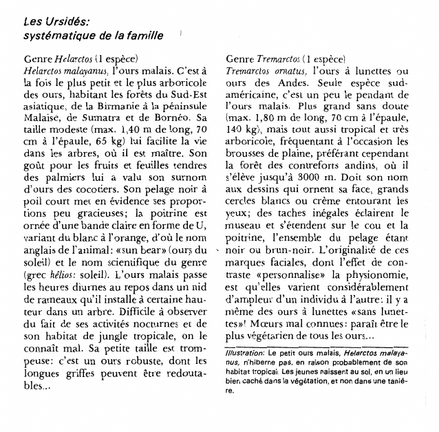 Prévisualisation du document Les Ursidés:systématique de la famille.