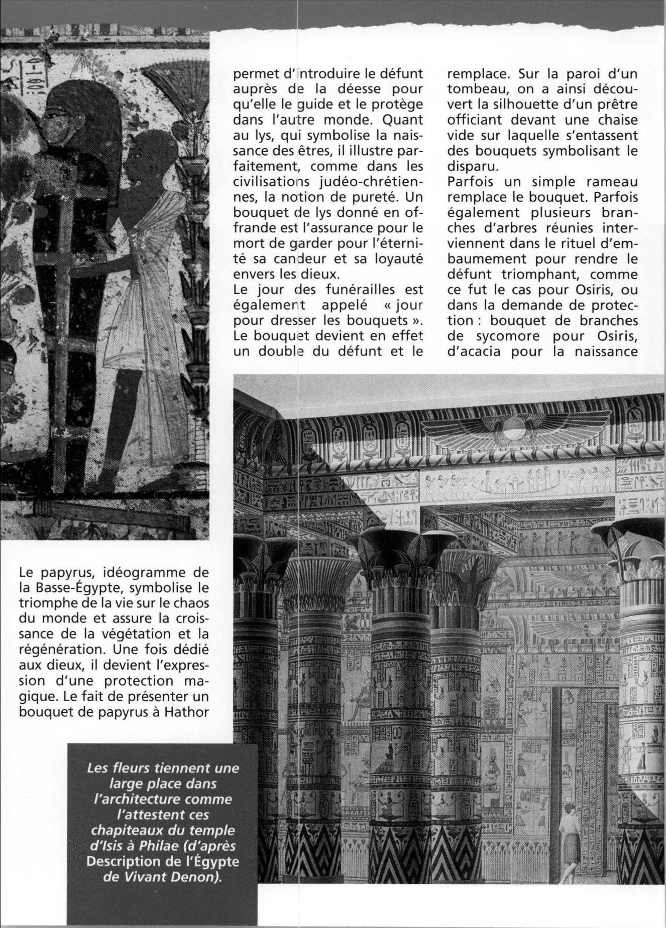 Prévisualisation du document Les veuves (histoire des moeurs de l'Egypte ancienne)