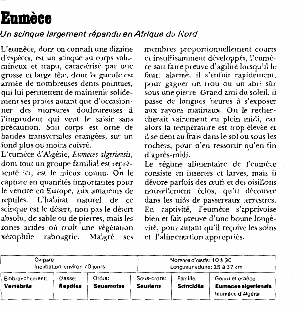 Prévisualisation du document L'eumèce:Un scinque largement répandu en Afrique du Nord.