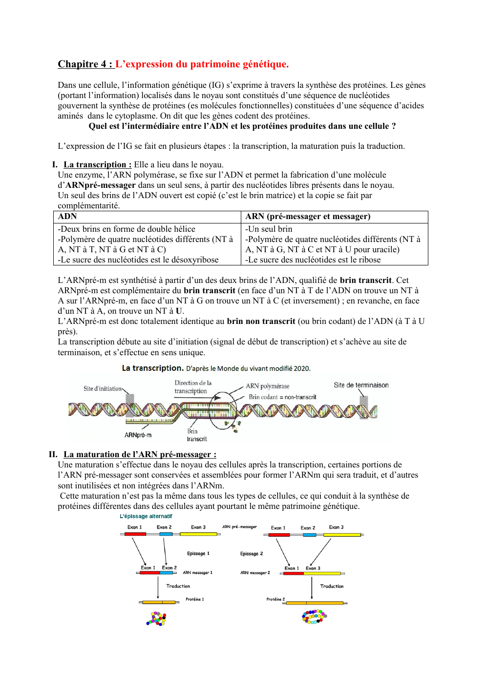 Prévisualisation du document L’expression du patrimoine génétique.
