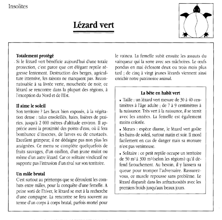 Prévisualisation du document Lézard vert.