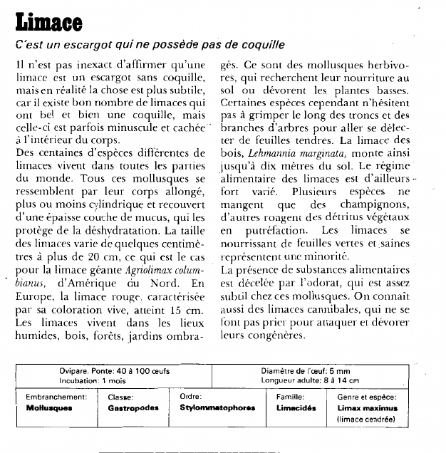 Prévisualisation du document Limace:C'est un escargot qui ne possède pas de coquille.