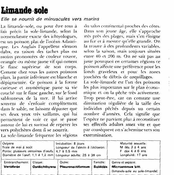 Prévisualisation du document Limande-sole:Elle se nourrit de minuscules vers marins.