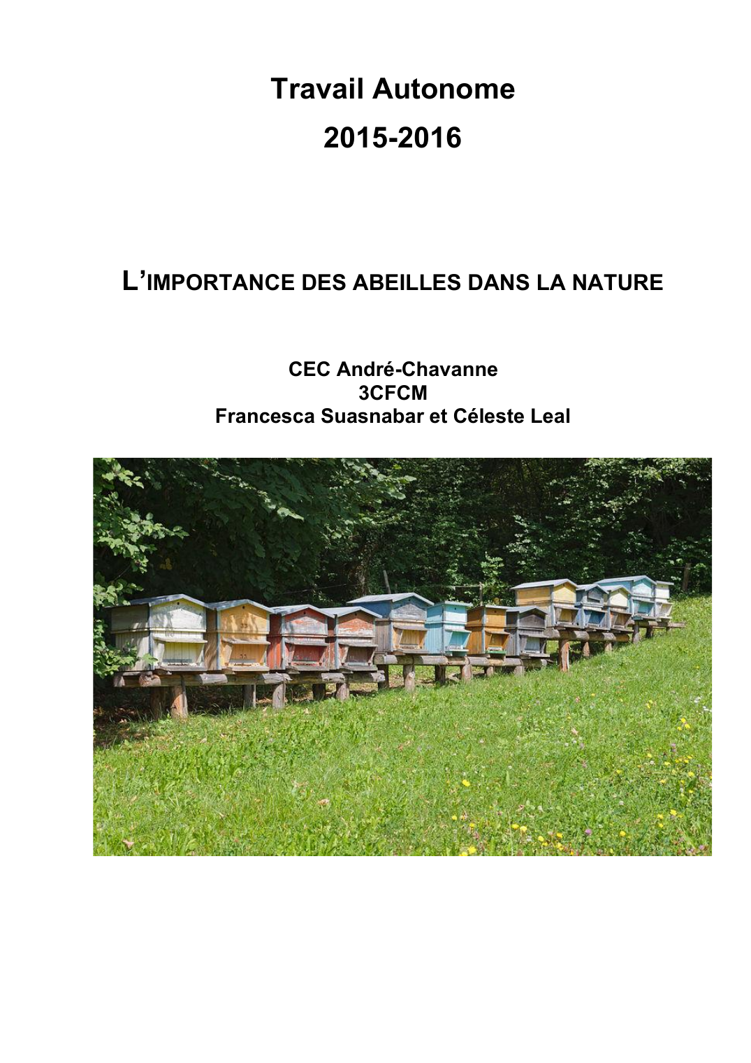 Prévisualisation du document L'importance des abeilles dans le monde