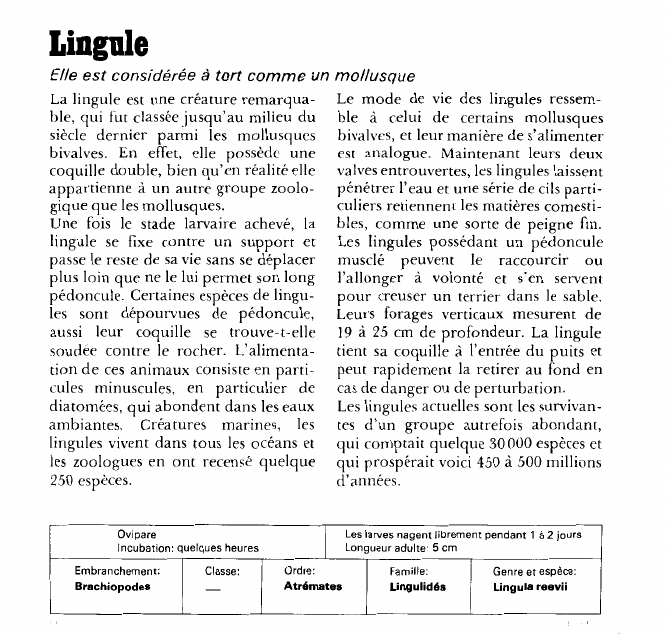 Prévisualisation du document Lingule:Elle est considérée à tort comme un mollusque.
