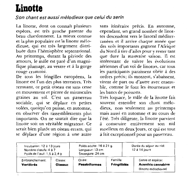 Prévisualisation du document Linotte:Son chant est aussi mélodieux que celui du serin.