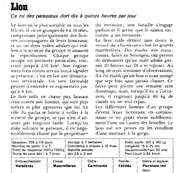 Prévisualisation du document Lion:Ce roi des paresseux dort dix à quinze heures par jour.