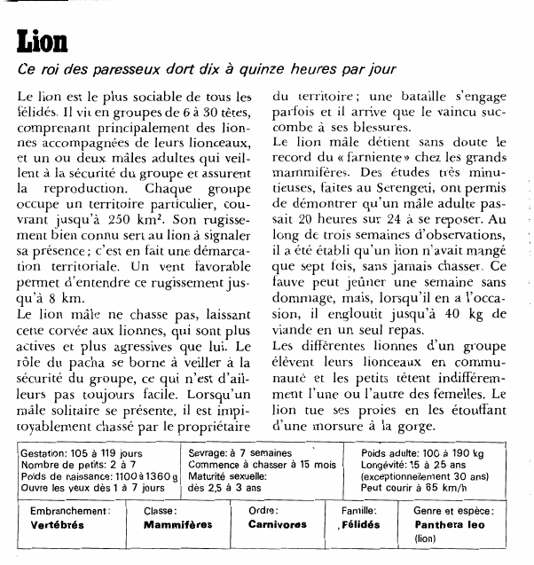 Prévisualisation du document LionCe roi des paresseux dort dix à quinze heures par jourLe lion est le plus sociable de tous les félidés.