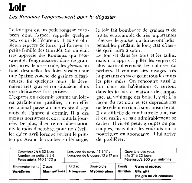 Prévisualisation du document Loir:Les Romains l'engraissaient pour le déguster.