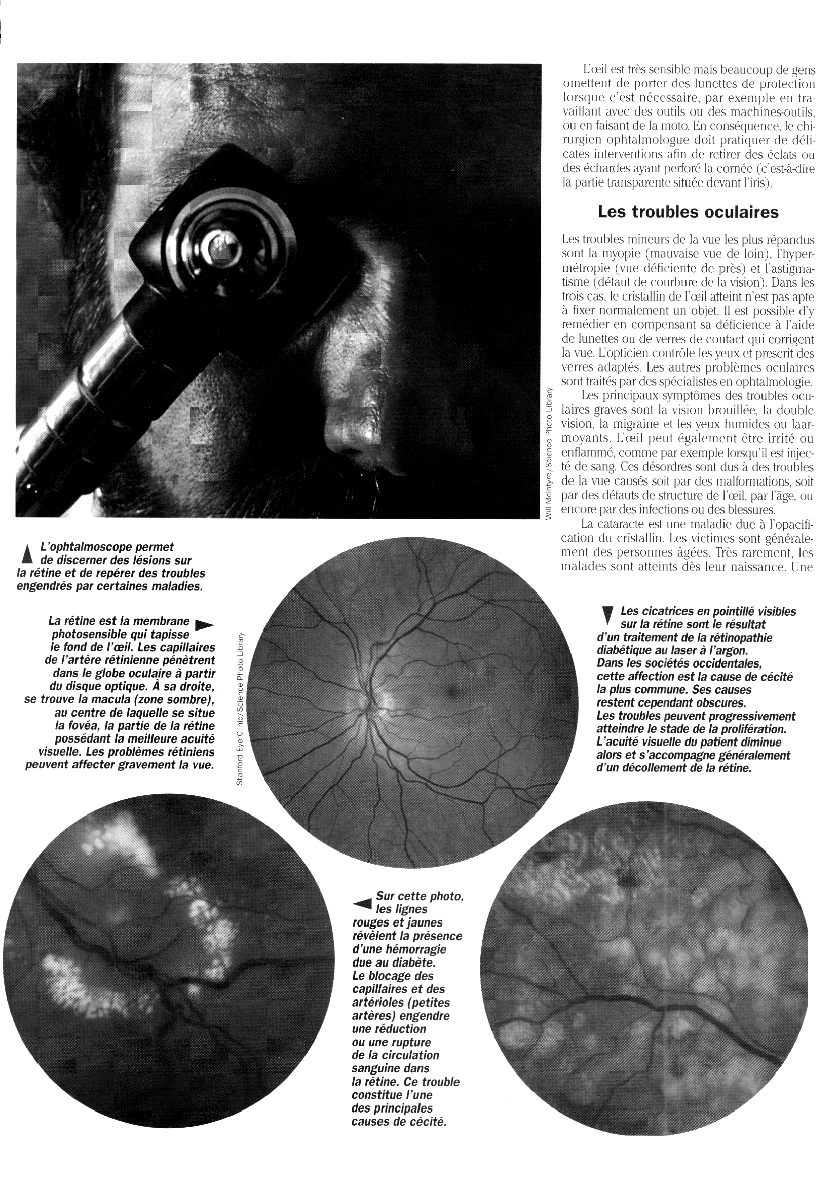 Prévisualisation du document L'Ophtalmologie (TPE)