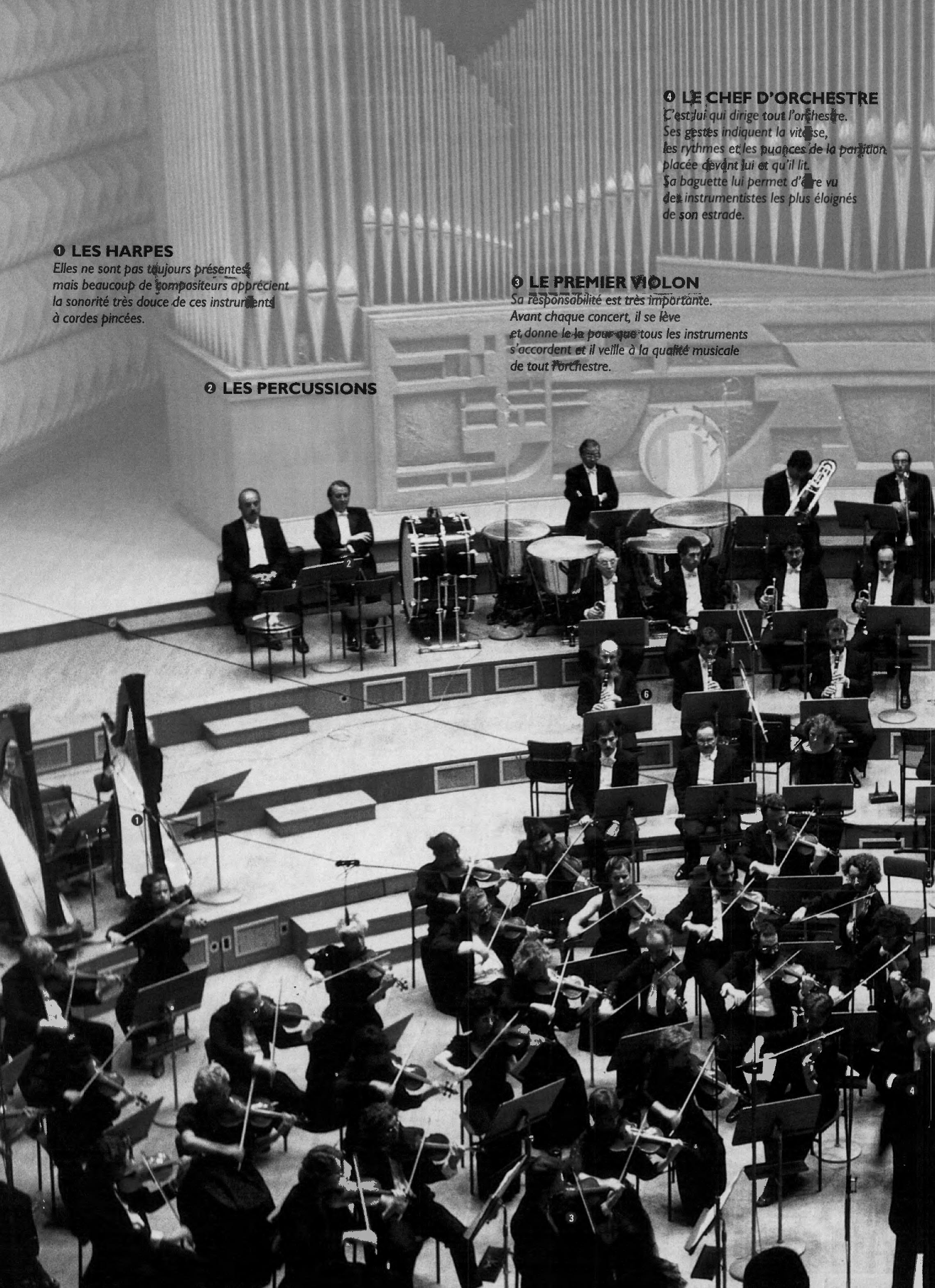 Prévisualisation du document L'orchestre philharmonique