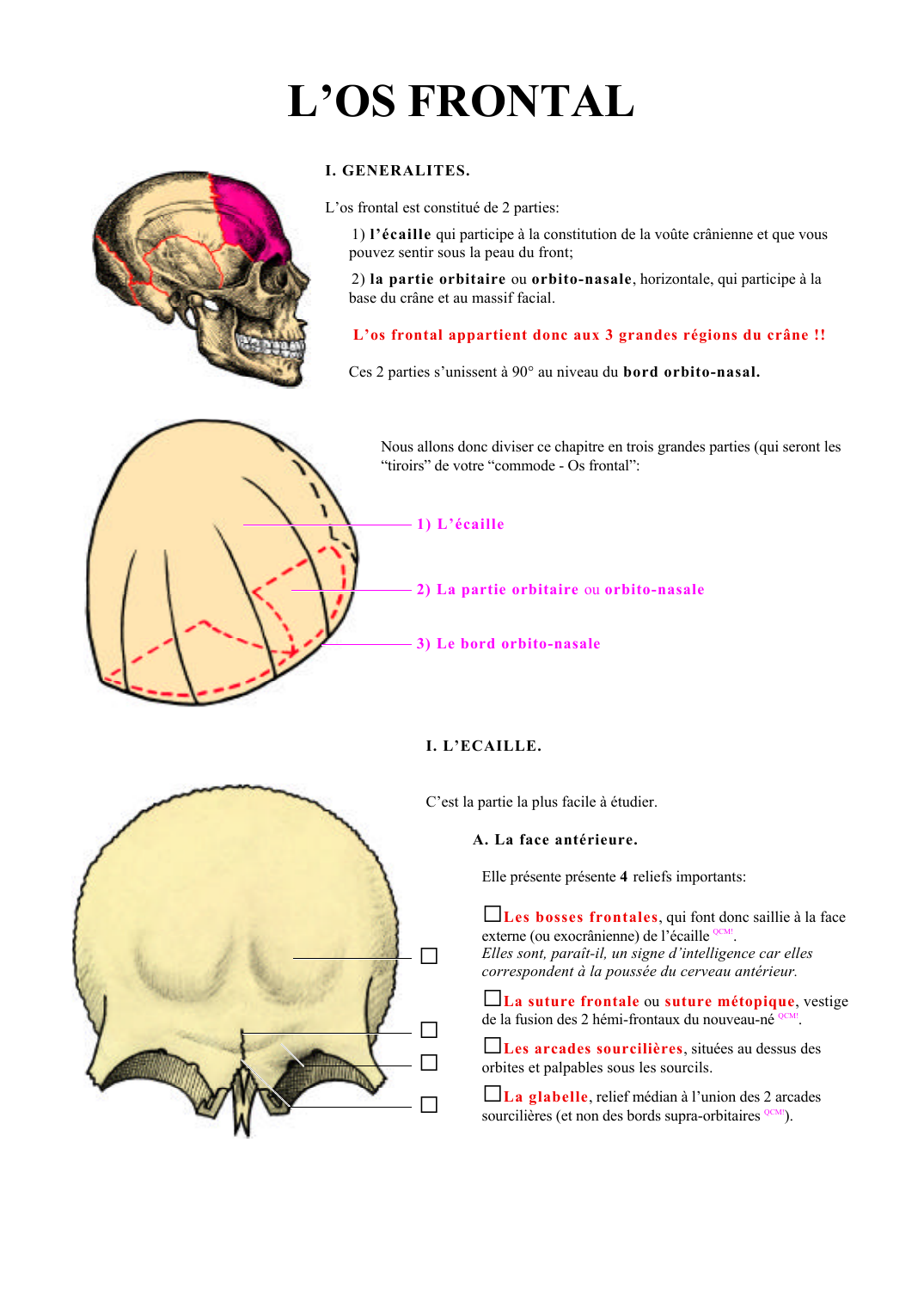 Prévisualisation du document L'OS FRONTALI.