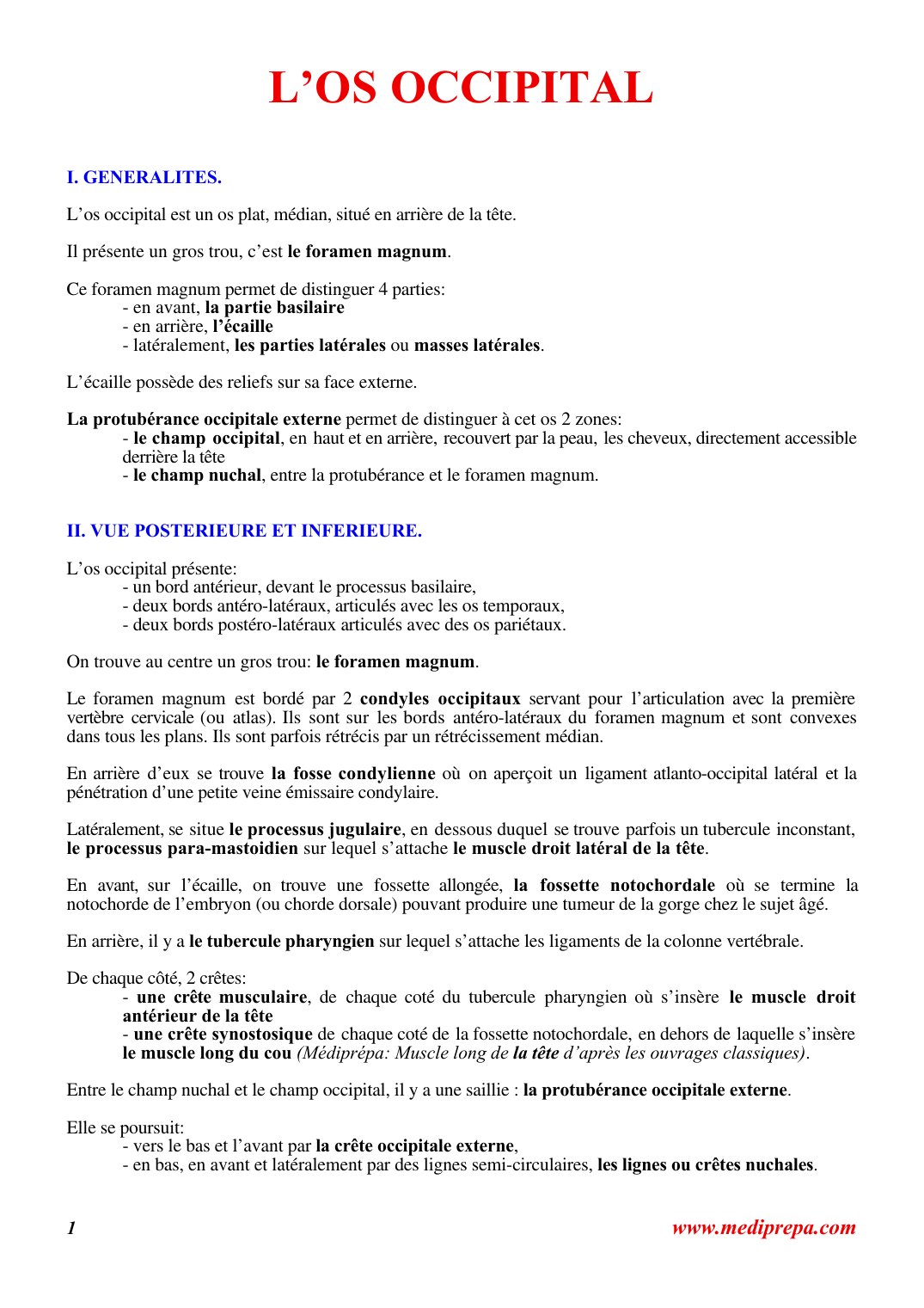 Prévisualisation du document L'OS OCCIPITAL (PACES)