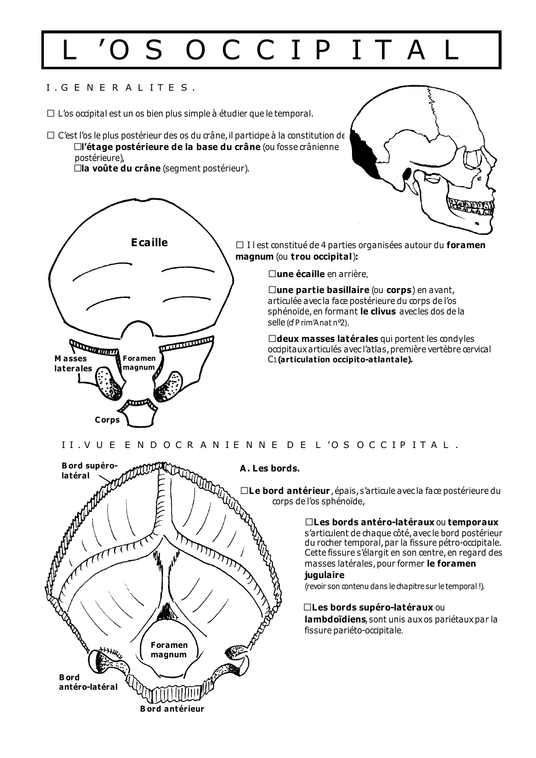 Prévisualisation du document L'OS OCCIPITALI.