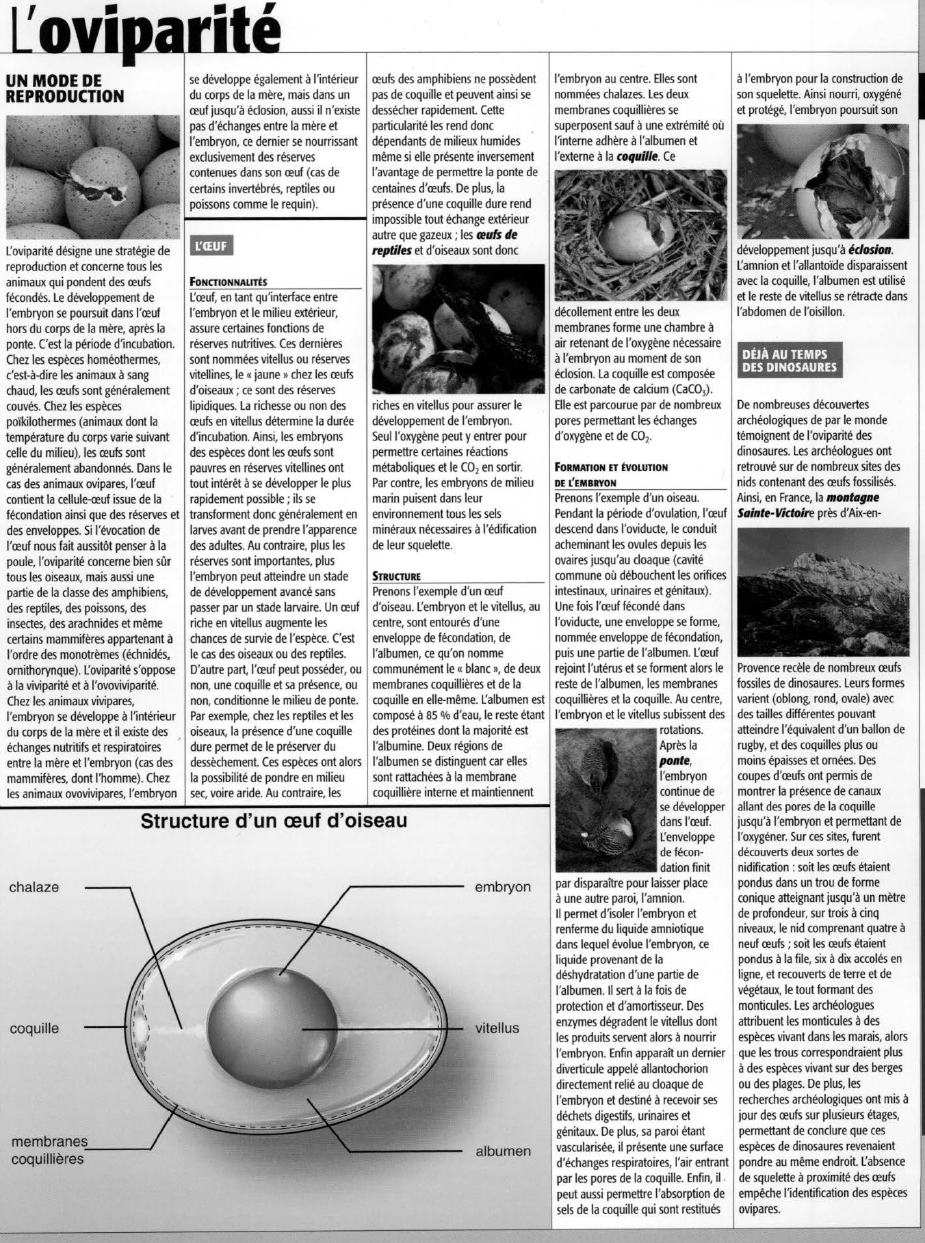 Prévisualisation du document L'oviparité