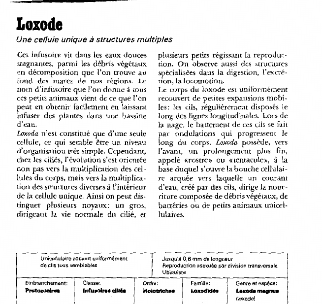Prévisualisation du document Loxode:Une cellule unique à structures multiples.