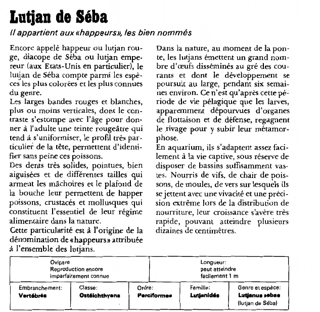 Prévisualisation du document Lutjan de SébaIl appartient aux «happeurs», les bien nommés.