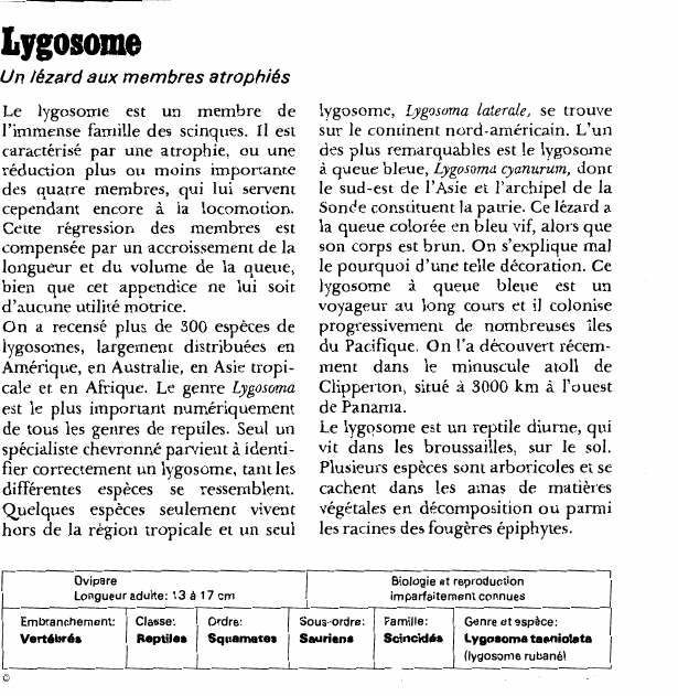 Prévisualisation du document Lygosome:Un lézard aux membres atrophiés.