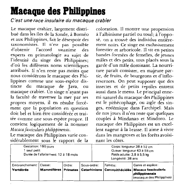 Prévisualisation du document Macaque des Philippines:C'est une race insulaire du macaque crabier.