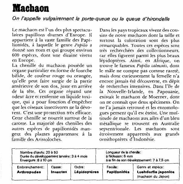 Prévisualisation du document Machaon:On l'appelle vulgairement le porte-queue ou la queue d'hirondelle.