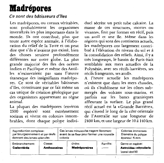 Prévisualisation du document Madrépores:Ce sont des bâtisseurs d'îles.