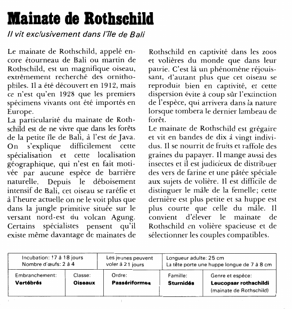 Prévisualisation du document Mainate de Rothschildll vit exclusivement dans 17Ie de BaliLe mainate de Rothschild, appelé encore étourneau de Bali ou martin de Rothschild, est un magnifique oiseau, extrêmement recherché des ornithophiles.