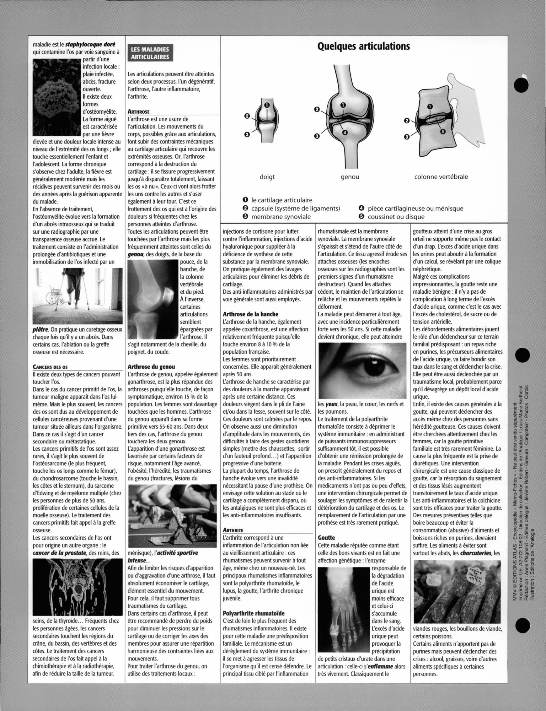 Prévisualisation du document Maladies des os et des articulations