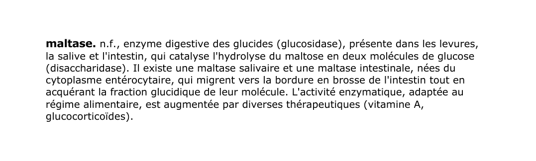 Prévisualisation du document maltase.