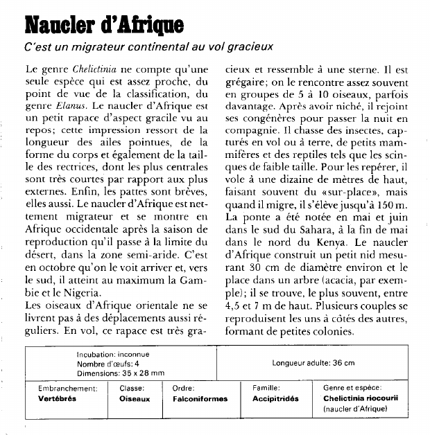 Prévisualisation du document Mander d'Afrique:C'est un migrateur continental au vol gracieux.