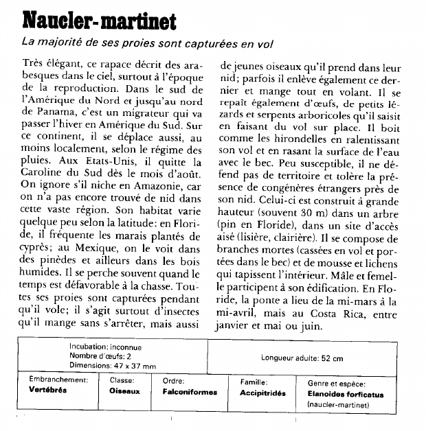 Prévisualisation du document Mander- martinet:La majorité de ses proies sont capturées en vol.