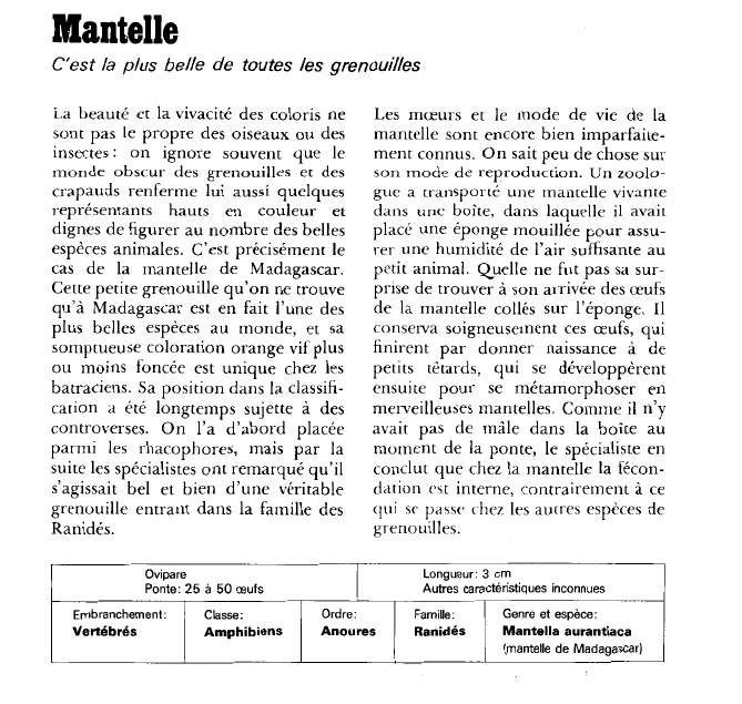 Prévisualisation du document Mantelle:C'est la plus belle de toutes les grenouilles.