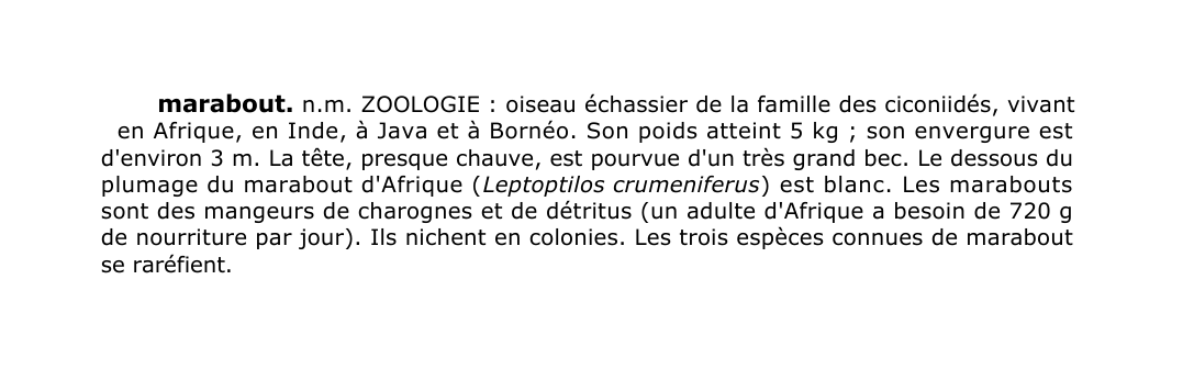 Prévisualisation du document marabout.