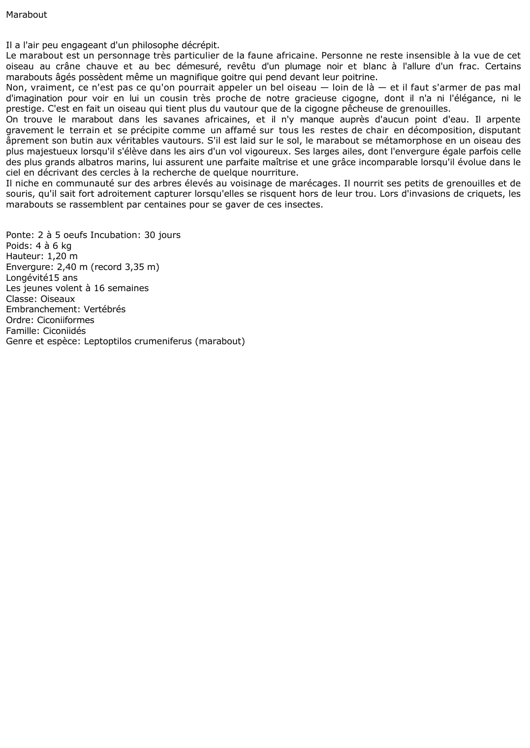 Prévisualisation du document Marabout