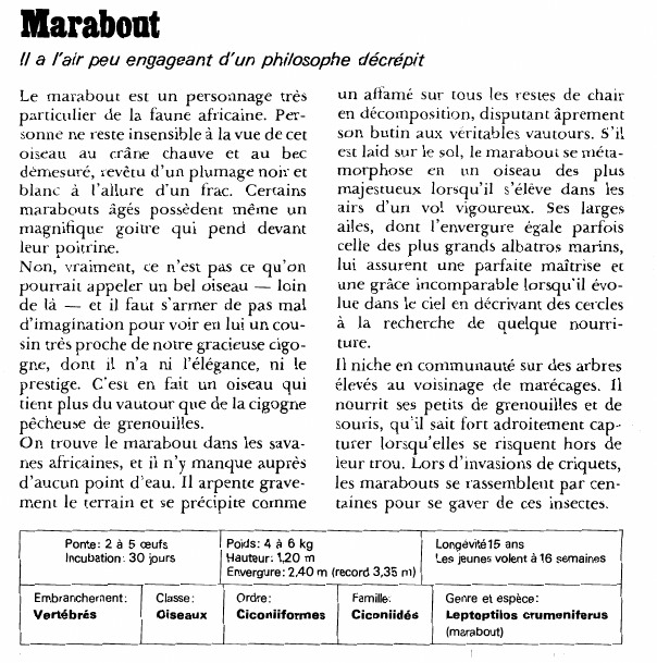 Prévisualisation du document MaraboutIl a l'air peu engageant d'un philosophe décrépit.