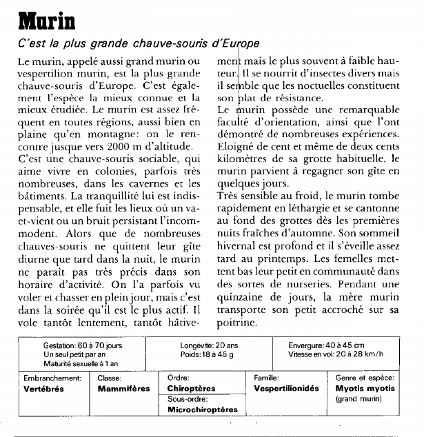 Prévisualisation du document Marin:C'est la plus grande chauve-souris d'Europe.