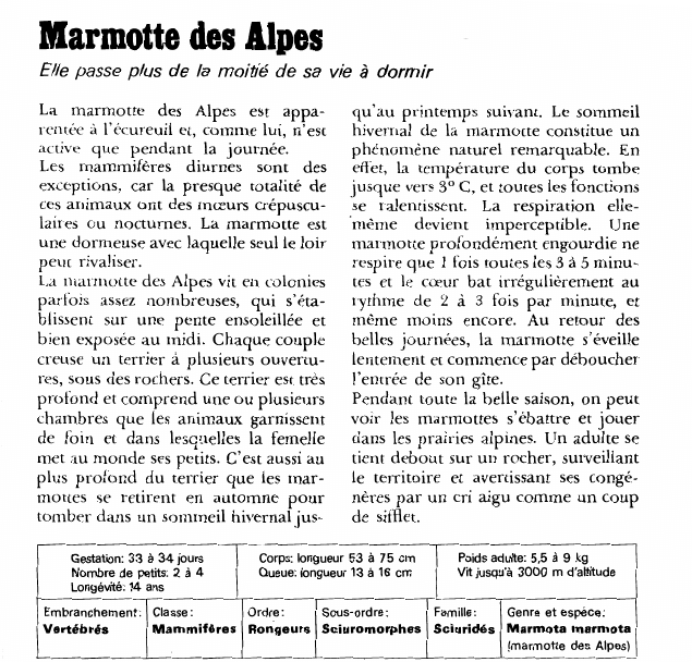 Prévisualisation du document Marmotte des Alpes:Elle passe plus de la moitié de sa vie à dormir.